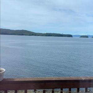 Meet your Posher, Ross